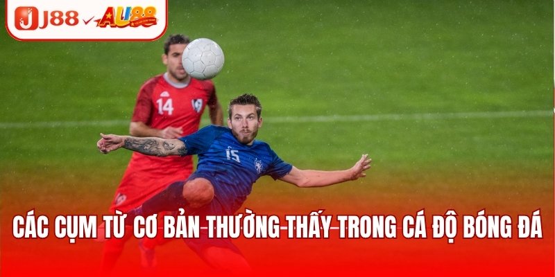 Các cụm từ cơ bản thường thấy trong cá độ bóng đá