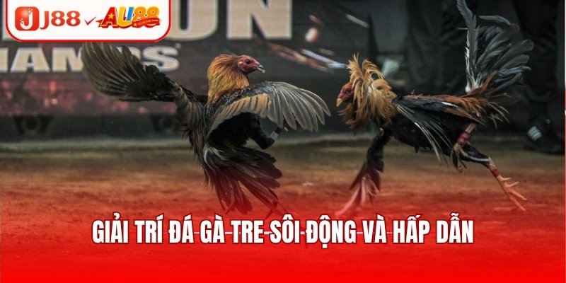 Đá Gà SV388 - Sảnh Chơi Kịch Tính, Cập Nhật Trận Đấu Hot 4 Giải trí đá gà tre sôi động và hấp dẫn